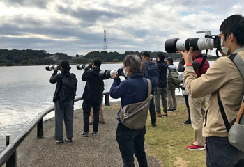 富士フイルム ミラーレスカメラX-H2Sで野鳥を撮影しよう！