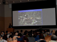 第29回　鳥学講座「島の鳥類学—南西諸島の鳥をめぐる自然史—」
