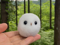 ホロッホのおうち