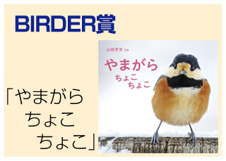 BIRDER賞