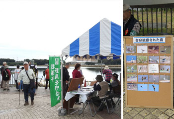 �Δȃo�[�h�E�H�b�`���O