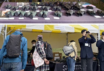 ������ЃT�C�g�����W���p��