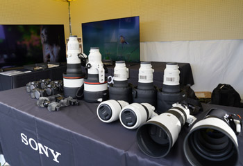 �\�j�[�}�[�P�e�B���O�������