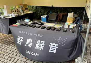 �e�B�A�b�N�������