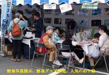 ���{�쒹�̉��t��