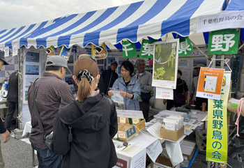 ��t���쒹�̉�