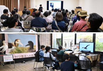 ���v���c�@�l�R�K���ތ�����