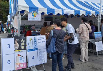 �z�㕽��ɂ����鐶�Ԍn�l�b�g���[�N���i���c��