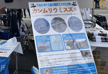 �É������c�s