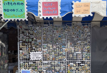 �W�F�C�h�E�V���[���b�g�̂������̎x�X