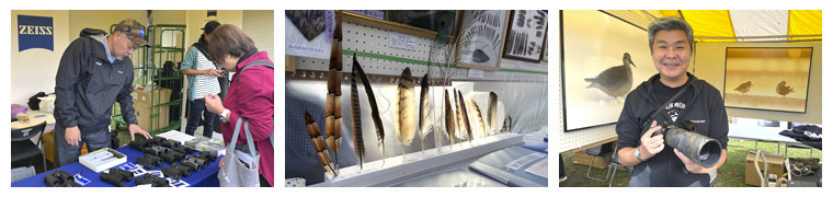 �t�H�g�M�������[