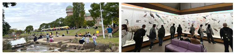 �t�H�g�M�������[