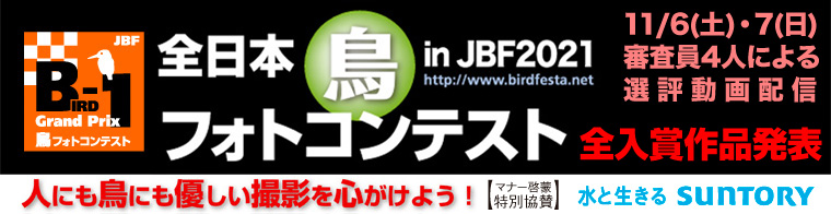 JBF全日本鳥フォトコンテスト2021