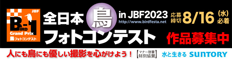 JBF全日本鳥フォトコンテスト2023