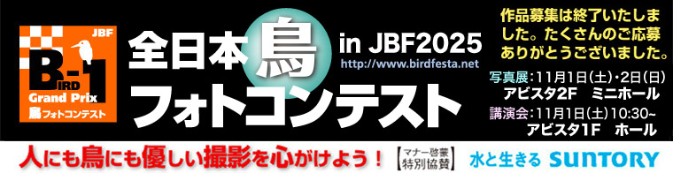 JBFS{tHgReXg2025 Wv