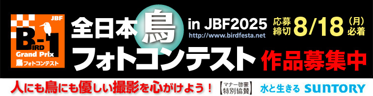JBFS{tHgReXg2025 Wv