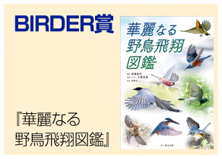 BIRDER