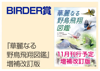 BIRDER��